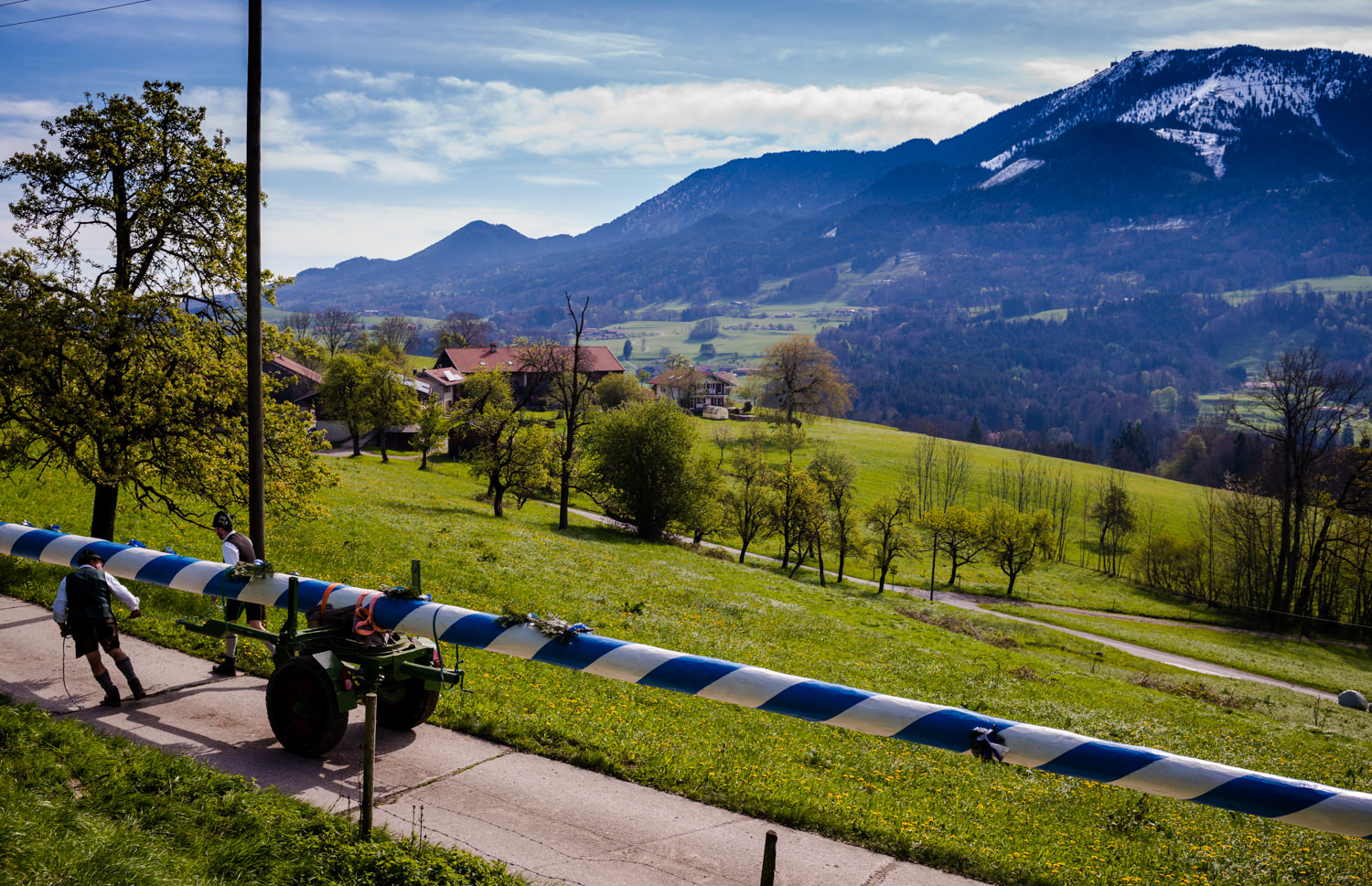 MaibaumAltenbeuern1008386 Trachtenverein Roßholzen